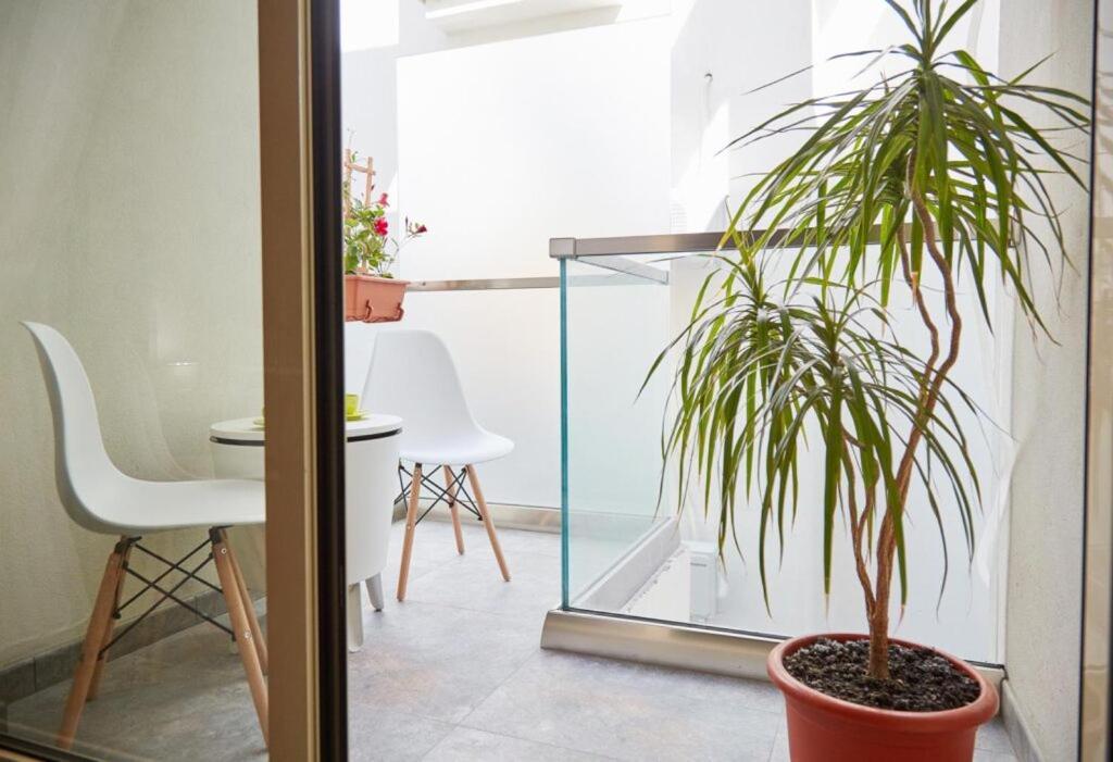 Lemon Bite Studio Stefan Building Năvodari Zewnętrze zdjęcie